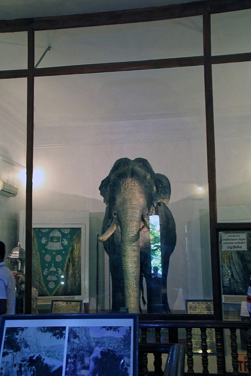 SriLan (753).jpg